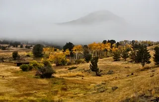 Autumn fog on Chief Joseph Highway