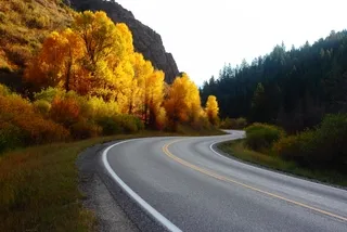Idaho road autumn